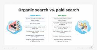 organic search strategies