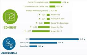 organic search engine rankings