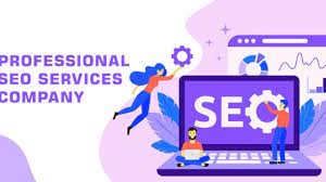 seo professional services