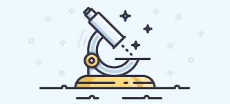 website ranking