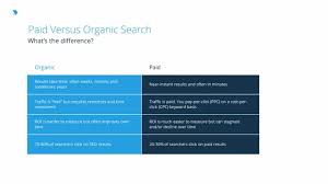 paid search engine optimization
