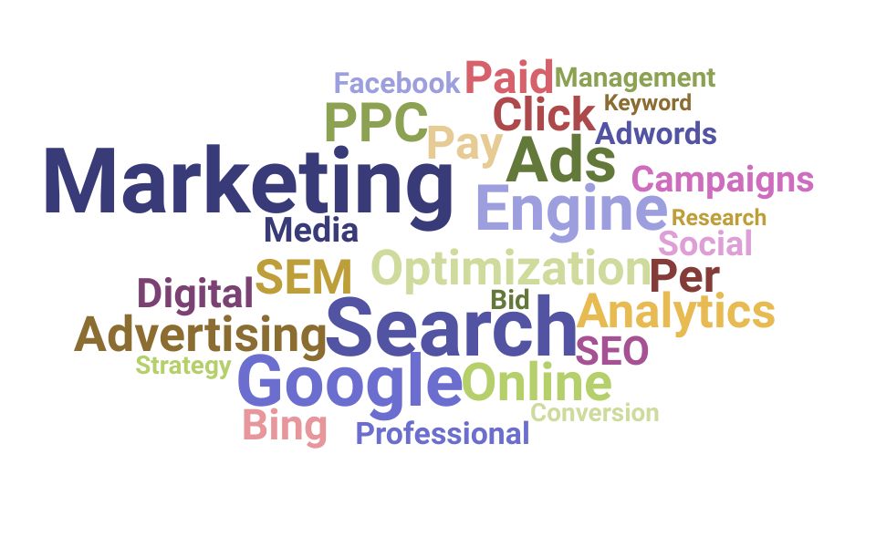 search engine marketing expert