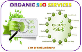 organic seo expert