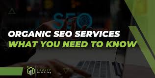 organic seo specialist